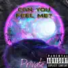 Private The Rapper - Can You Feel Me? - Single